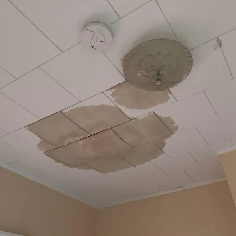 Ceiling Water Damage Repair in Hearne, TX