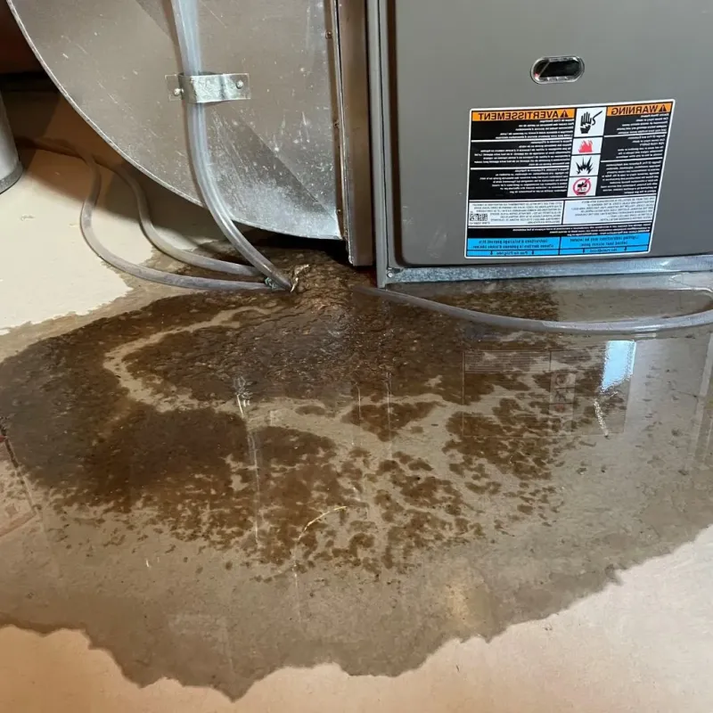 Pipe Burst and Leak Restoration in Hearne, TX