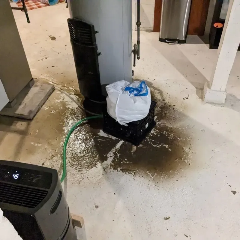 Sewage Backup Cleanup Service in Hearne, TX